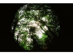 プランの魅力  の画像