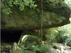 プランの魅力  の画像