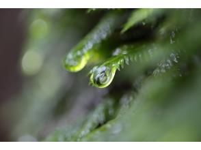 プランの魅力  の画像