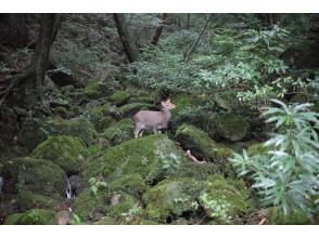 プランの魅力  の画像