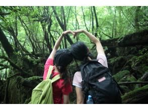 プランの魅力  の画像