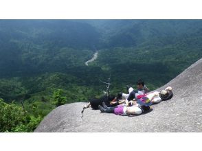 プランの魅力  の画像