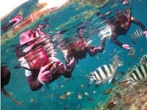 プランの魅力 Underwater photography & gifts の画像