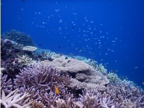 プランの魅力  の画像