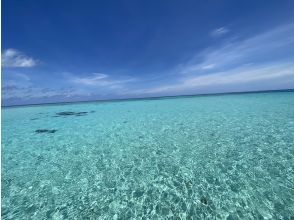 プランの魅力  の画像