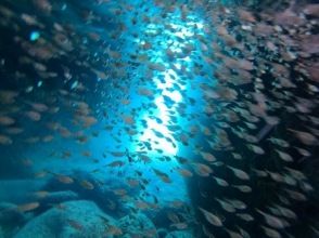 プランの魅力  の画像