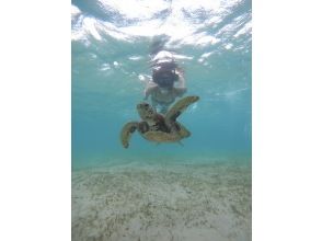 プランの魅力  の画像