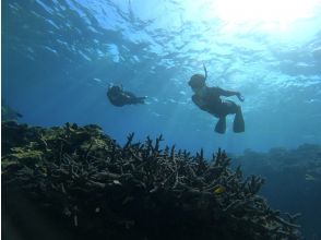 プランの魅力  の画像