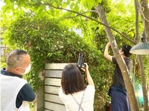 プランの魅力  の画像