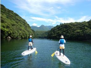 プランの魅力  の画像