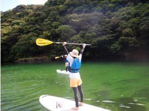 プランの魅力  の画像