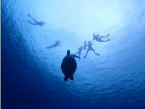 プランの魅力 記念撮影 の画像