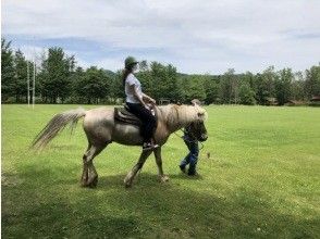 プランの魅力 の画像