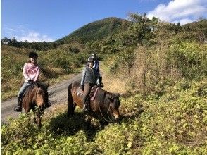 プランの魅力 の画像