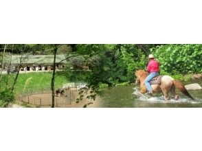 プランの魅力 の画像