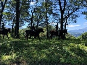 プランの魅力 の画像