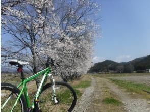 プランの魅力 Season of cherry blossoms の画像