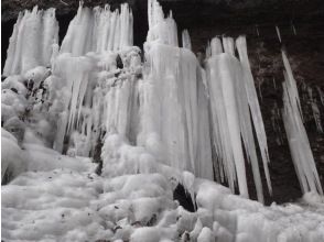 プランの魅力 迫力の絶景！大小、氷柱の数々 の画像