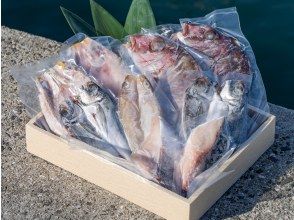 プランの魅力 自分で釣った瀬戸内海の天然真鯛を絶品鮮熟干物にしてプレゼント の画像