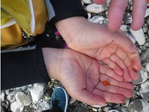 プランの魅力 salmon roe の画像