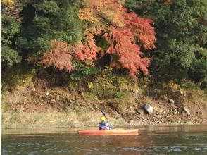 プランの魅力 紅葉 の画像