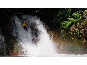 プランの魅力 レインボースライダー の画像