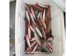 プランの魅力 初學者也能享受的古魯昆釣魚 の画像