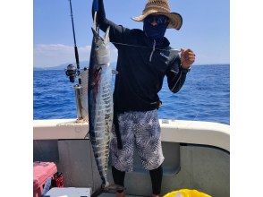 プランの魅力 游泳釣魚 の画像