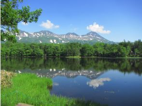 プランの魅力 世界遺産の知床五湖を満喫!! の画像