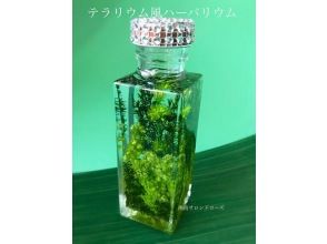 プランの魅力 の画像