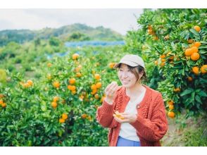 プランの魅力 その場で食べられる！ の画像