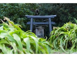 プランの魅力 Sparrowhawk Shrine の画像