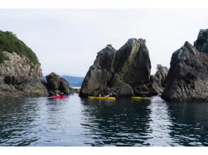 プランの魅力 Special-looking rocks の画像