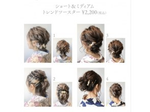 プランの魅力 ヘアセットツースター例 の画像