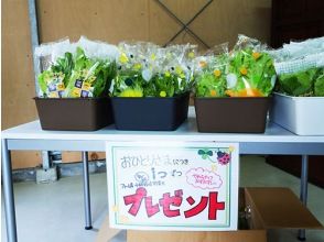 プランの魅力 Vegetable gift! の画像