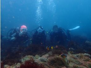 プランの魅力 水中写真プレゼント の画像