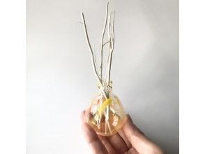 プランの魅力 の画像