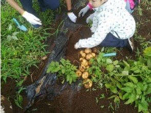 プランの魅力 収穫の楽しみが高まります！ の画像