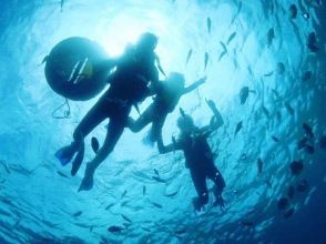 プランの魅力 沖縄といえば海！沖縄の記念にもってこい！ の画像