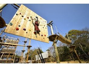 プランの魅力  の画像