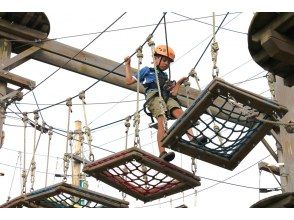 プランの魅力  の画像