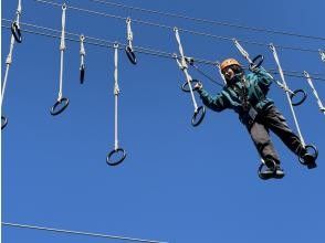 プランの魅力  の画像