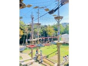 プランの魅力  の画像