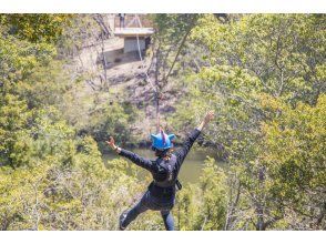 プランの魅力  の画像