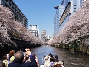 プランの魅力 花見のベストポイント の画像