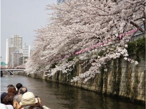 プランの魅力 水辺の桜 の画像