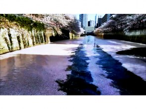 プランの魅力 シーズン最終には花弁の絨毯 の画像