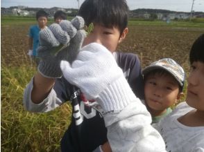 プランの魅力 楽しく活動できます！ の画像