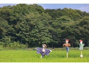 プランの魅力 Experience consistently from sowing to harvesting ♪ の画像