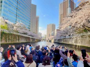 プランの魅力 Best spots for cherry blossom viewing の画像